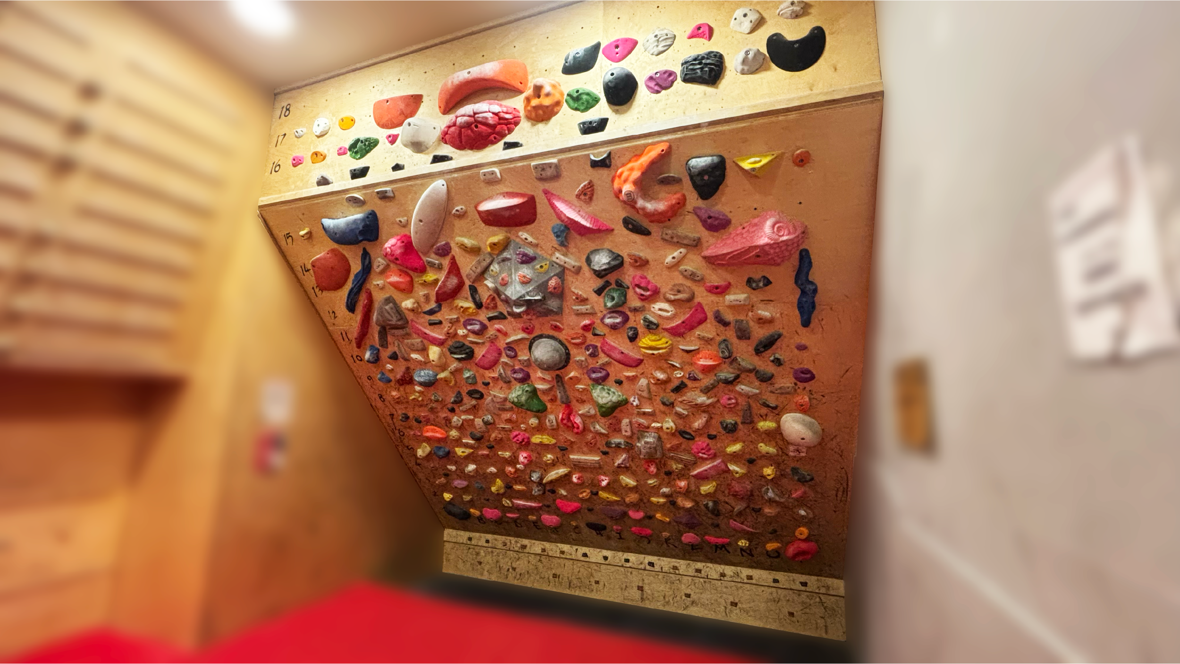 The Training Room Board