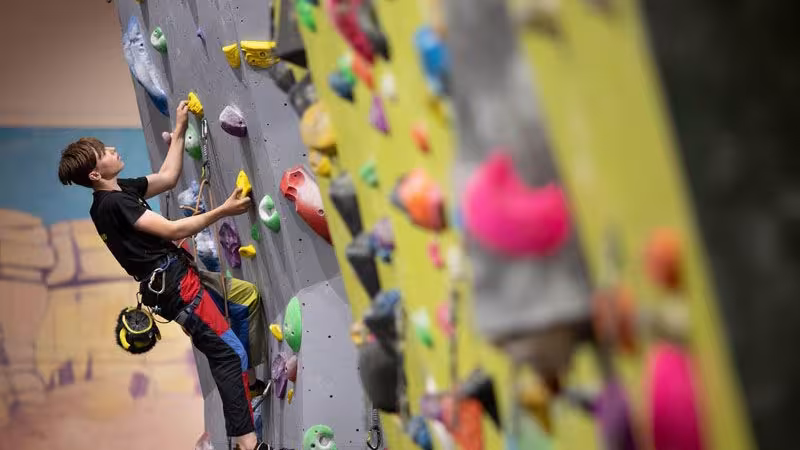 Development Coaching: Group 